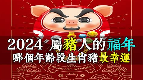 屬豬幾歲虛歲|屬豬年份｜2024年幾歲？屬豬出生年份+歲數一